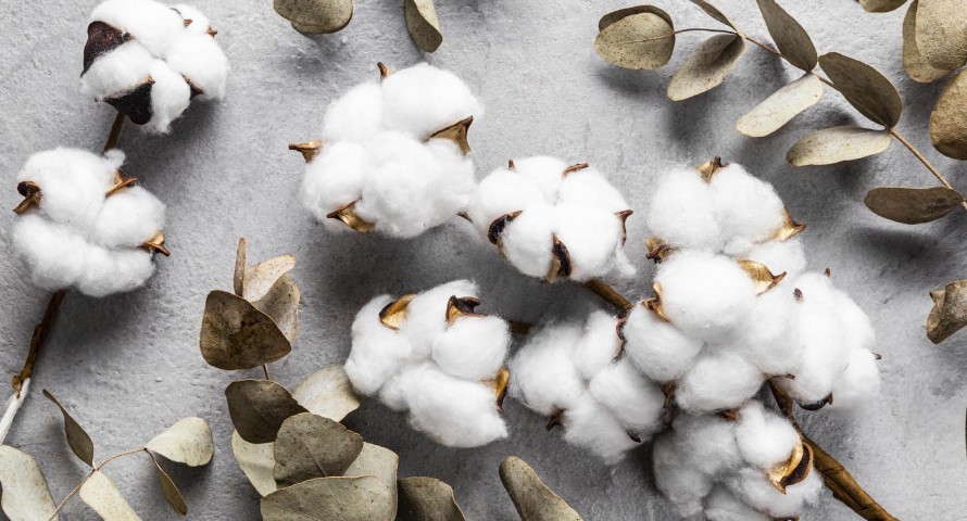 Виды хлопковой ткани